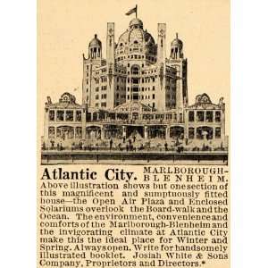   Blenheim Hotel Lodge Atlantic City   Original Print Ad: Home & Kitchen