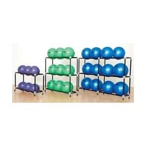  Magnus ABS Stability Ball Racks: Sports & Outdoors