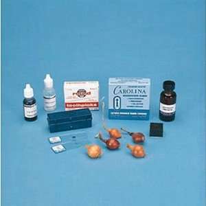 Microscope Slide Kit   Typical Animal and Plant Cells  