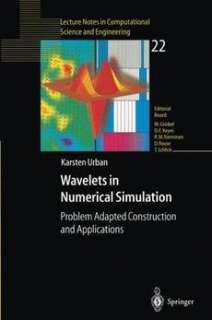   in Numerical Simulation Problem Adapted Construction and Applications