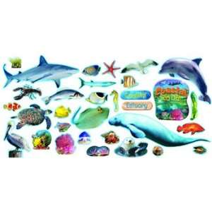  Coastal Sea Life Mini Bulletin Board Set: Toys & Games