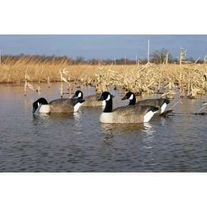    Flambeau Storm Front Floater Canada Goose Decoys
