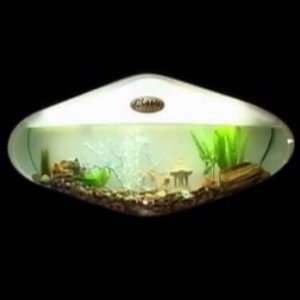 Shape Bubble Hanging Aquarium Complete Self Contained Wall Fish 