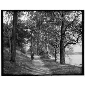  Path in John Bartram Park (Bartrams Gardens),Philadelphia 