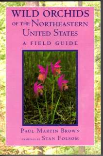   Orchids Northeastern United States Field Guide Wildflower New England