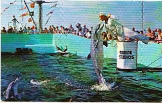 Marineland of Florida Oceanarium Feeding Fish St Augustine FL Vintage 