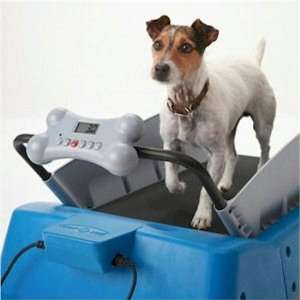  DogTread Small Dog Treadmill   With K9 Fitness Program 