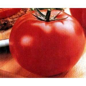   Hybrid Tomato 45 Seeds  Colossal Fruit Size Patio, Lawn & Garden