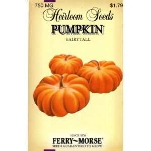    Morse 3751 Heirloom Seeds Pumpkin   Fairy Tale Patio, Lawn & Garden