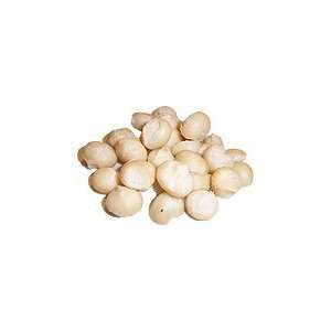 Raw Organic Macadamia Nuts 5 lbs.  Grocery & Gourmet Food