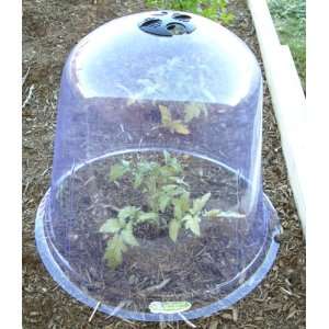 Large Garden Cloche Plant Cover (10 Pack)   Protect Vegetable Plants 