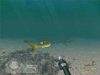 Shark Hunting the Great White PC CD underwater game  