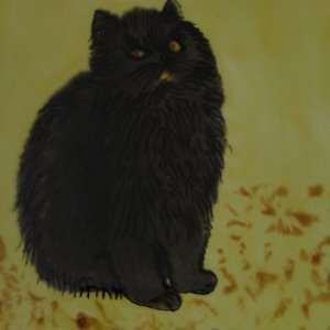   Black Persian Cat Decorative Ceramic Wall Art Tile 6x6: Home & Kitchen