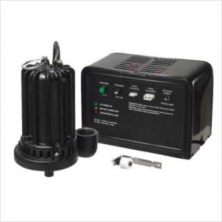   Cast Iron Battery Back Up Sump Pump System ESP45 040066212818  