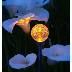  Firefly Solar Garden Lighting: Patio, Lawn & Garden