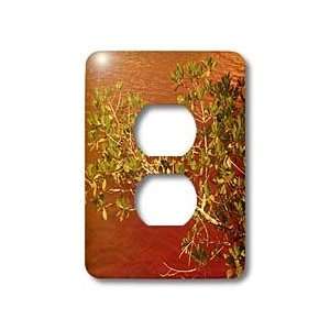     Mangrove Red and Green   Light Switch Covers   2 plug outlet cover